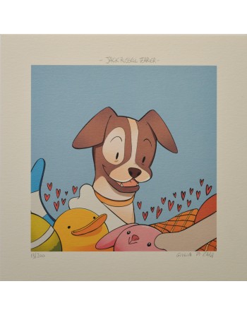 Jack Russell Terrier