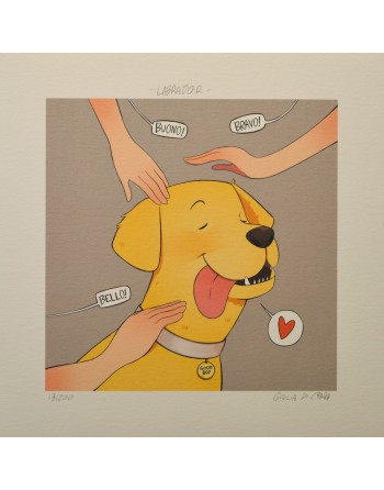 Labrador